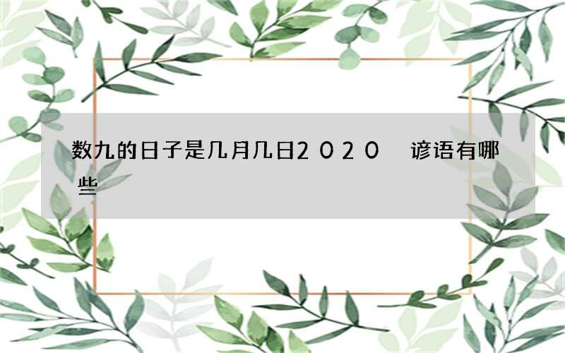 数九的日子是几月几日2020 谚语有哪些